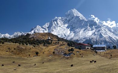 Os Himalaias são a mais alta cadeia montanhosa do mundo, localizada entre a planície indo-gangética, ao sul, e o planalto tibetano, ao norte. Foto: Orangetigra/Pixabay