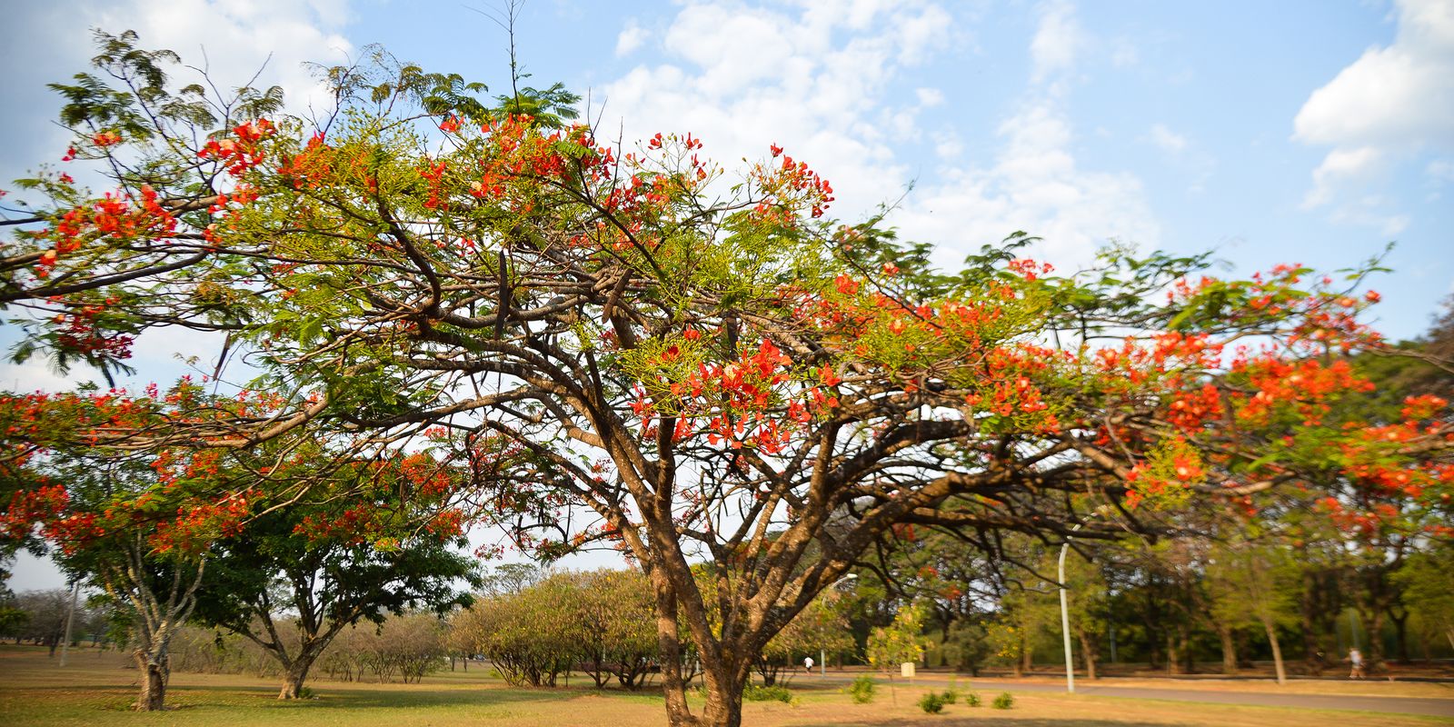 Verão chega ao fim no Brasil; outono começa oficialmente nesta sexta