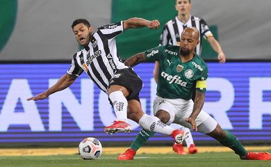 atlético-mg, palmeiras, libertadores