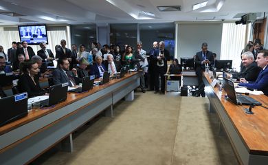 Brasília (DF) 13/06/2023 Comissão de Assuntos Econômicos (CAE) durante sessão para analisar projeto de lei (PL 334/2023) que prorroga a desoneração da folha de pagamentos de empresas de 17 setores da economia. Foto Lula Marques/ Agência Brasil.