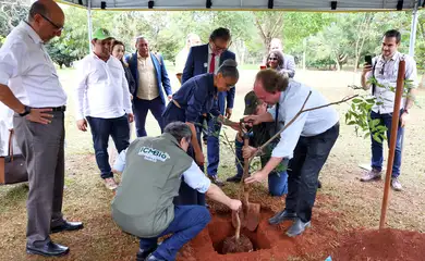 Brasília (DF), 28/04/2025 - A ministra do Meio Ambiente, Marina Silva, participa da comemoração do Dia Nacional da Caatinga com ações para proteção do bioma. Foto: Valter Campanato/Agência Brasil