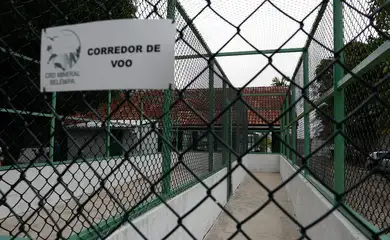 Belém (PA) 13/12/2024 – Corredor de voo para aves marinhas no Centro de Reabilitação e Despetrolização de Fauna, mantido pela Petrobras para a exploração na Margem Equatorial, que opera de prontidão para tratar animais em casos de acidentes. Foto: Fernando Frazão/Agência Brasil