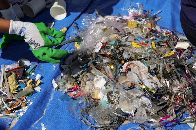 Rio de Janeiro (RJ), 22/03/2025 – No Dia Mundial da Água, o Clean Up Bay une voluntários para limpeza da praia do Flamengo, na zona sul do Rio de Janeiro. Foto: Tomaz Silva/Agência Brasil