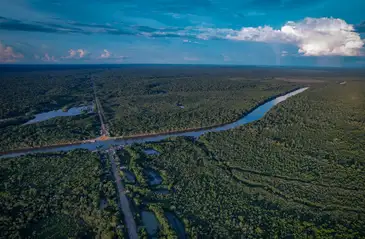 10/08/2023, Ambientalistas denunciam desmatamento às margens de rodovia amazônica. Foto: Orlando K Júnior