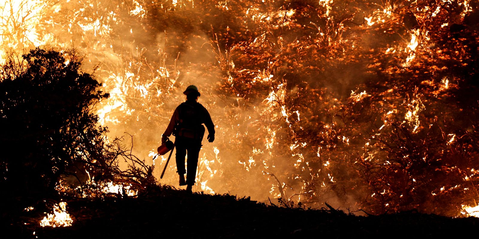Ibama identifica 242 pessoas responsáveis por incêndios em 2024 Ibama identifica 242 pessoas responsáveis por incêndios em 2024