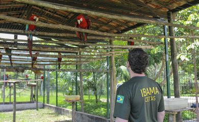 Ibama apura maus-tratos em centro de triagem de animais silvestres