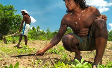 Edital seleciona 14 comunidades do Cerrado para projetos de preservação