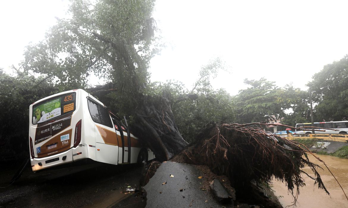 Ônibus embaixo de árvores arrancadas pelas fortes chuvas no bairro do Leblon, no Rio de Janeiro