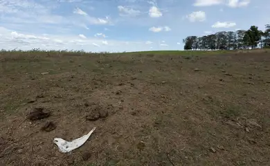 Bagé (RS), 23/02/2023 - Area de região afetada pela estiagem no Rio Grande do Sul. O governo federal deve oficializar medidas para enfrentamento da seca que atinge os municípios gaúchos. 
