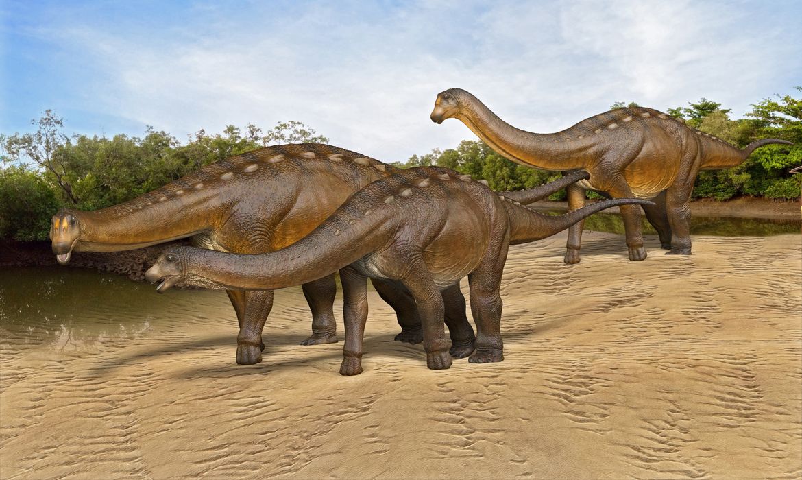 Representação do novo dinossauro descoberto em Ibirá (SP) feita pelo paleoartista Hugo Cafasso
