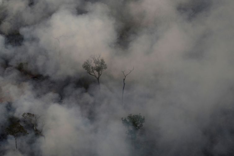 La degradación en la Amazonía supera en tres veces la deforestación