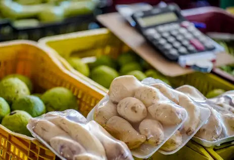 Braslia-DF, 10.11.2023, A Diversas frutas, legumes e verduras que so vendidos diariamente na Centrais de Abastecimento do Distrito Federal, a CEASA-DF. Foto: Rafa Neddermeyer/Agncia Brasil