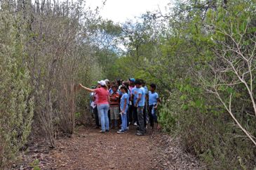 Petrolina (PE) - A Trilha Ecológica é um percurso aberto em uma área de Caatinga preservada da Embrapa Semiárido, em Petrolina (PE), onde podem ser observadas diversas espécies do bioma.. Foto: Fernanda Muniz Bez/EMBRAPA