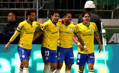 palmeiras, bragantino, brasileiro