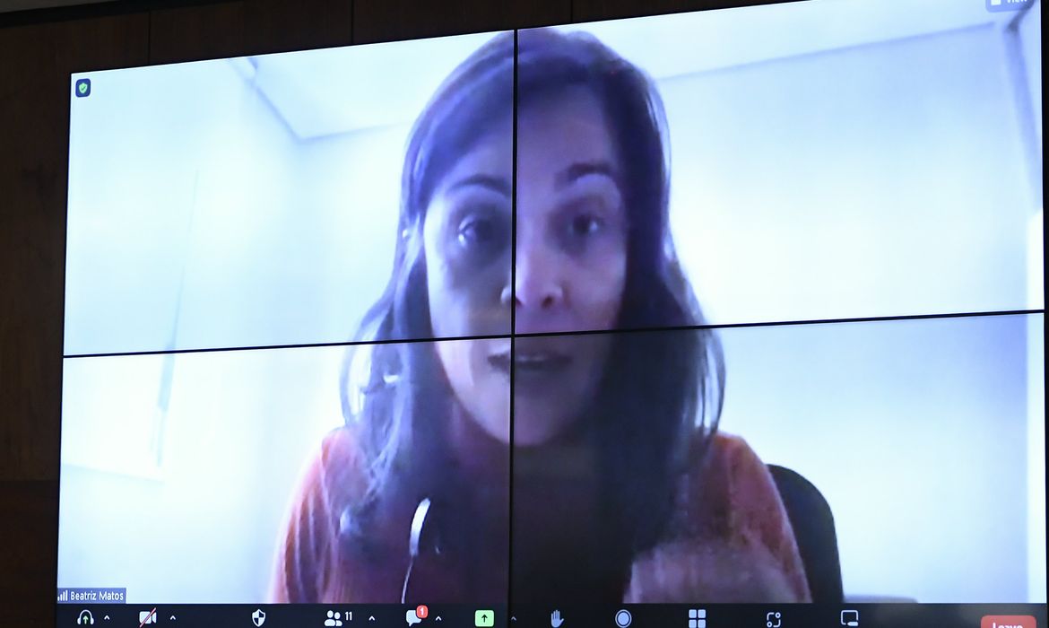 Comissão Temporária Externa para investigar,