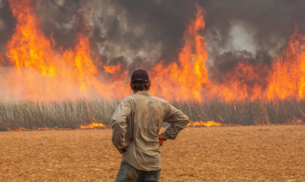 A man watches a fire in a sugar cane plantation near Dumon city, Brazil, August 24, 2024. REUTERS/Joel Silva