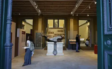 Museu Nacional do Rio reabre parcialmente sete anos após incêndio