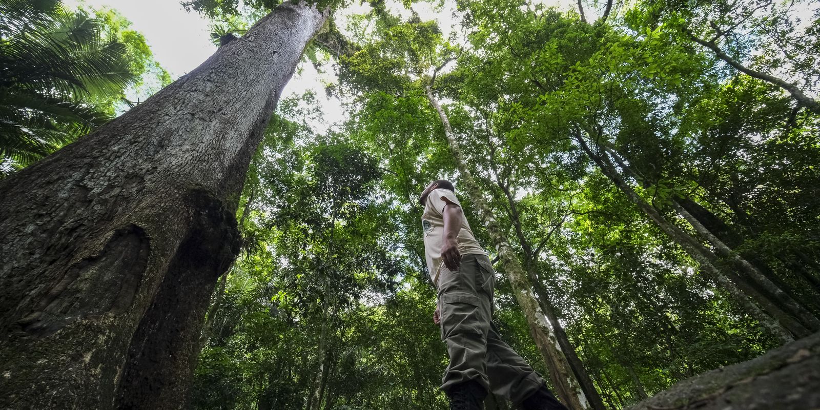Rio de Janeiro sediará prêmio ambiental criado pelo príncipe William
