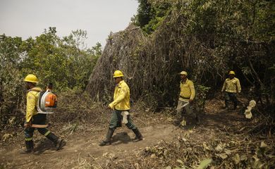 Poconé (MT) 17/11/2023 – Brigadistas do ICMBIO durante combate ao incêndio florestal que atinge o Parque Nacional do Pantanal Mato-Grossense 
Foto: Joédson Alves/Agência Brasil