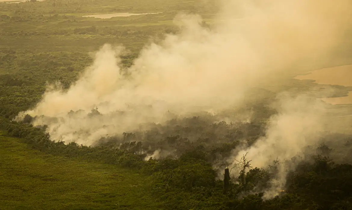Porto Jofre (MT) 17/11/2023 – Incêndio florestal que atige o Pantanal.
Foto: Joédson Alves/Agência Brasil