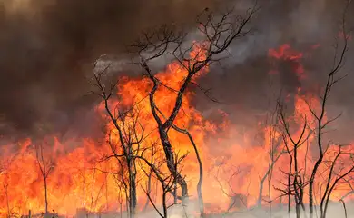 Brasília, DF 15-09-2024 Um Incendio atingiu o Parque Nacional de Brasília. Bombeiros e populares tentavam conter as chamas Foto: Fabio Rodrigues-Pozzebom