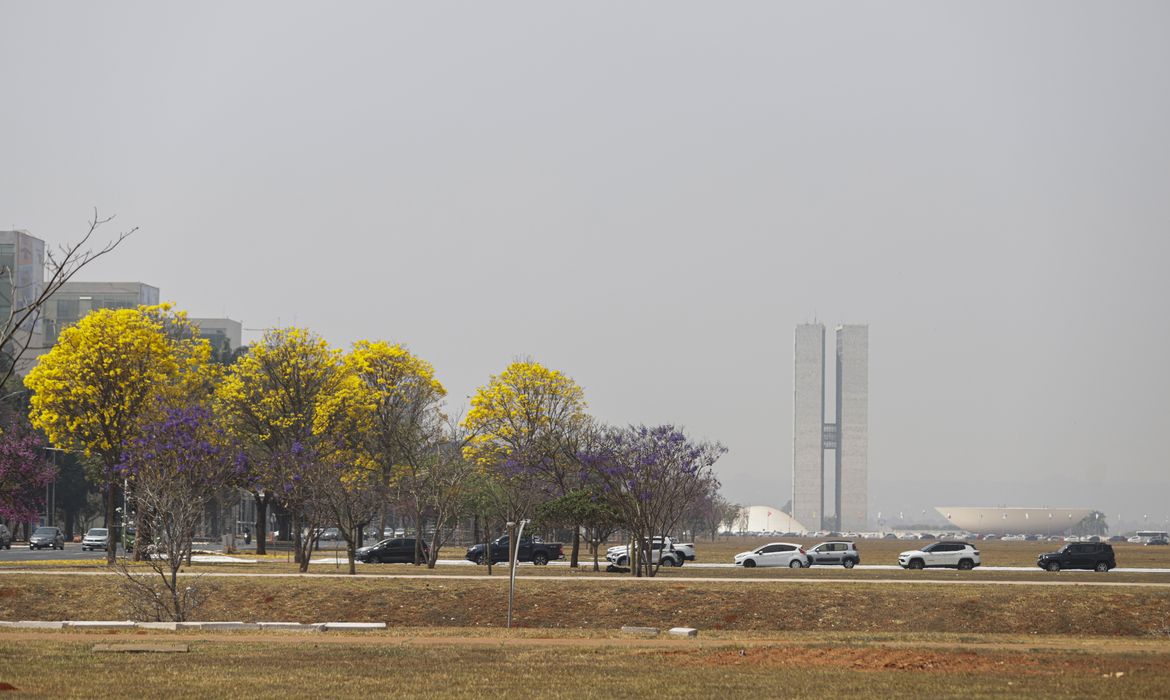 Brasília (DF) 26/08/2024- Brasília amanhece encoberta por fumaça de queimadas.
Foto: Joédson Alves/Agência Brasil