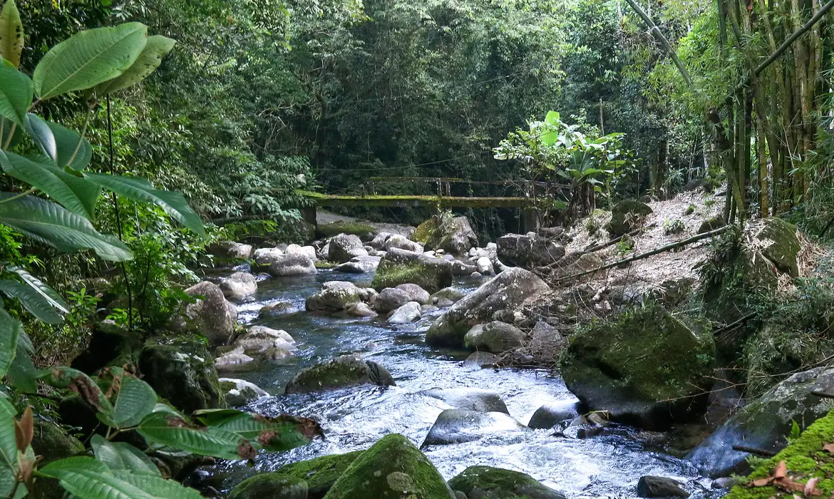 Magé (RJ), 27/03/2023 - Trilha para a cachoeira Monjolo, na reserva Ecovila El Nagual, Magé, Região Metropolitana do Rio de Janeiro. Foto: Tânia Rêgo/Agência Brasill