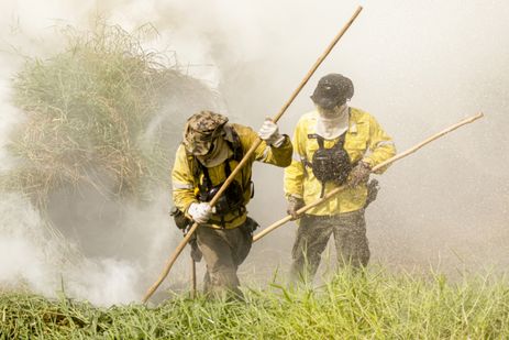 Porto Jofre (MT) 16/11/2023 –Brigadistas do ICMBIO combatem incêndio florestal que atinge o PantanalFoto: Joédson Alves/Agência Brasil