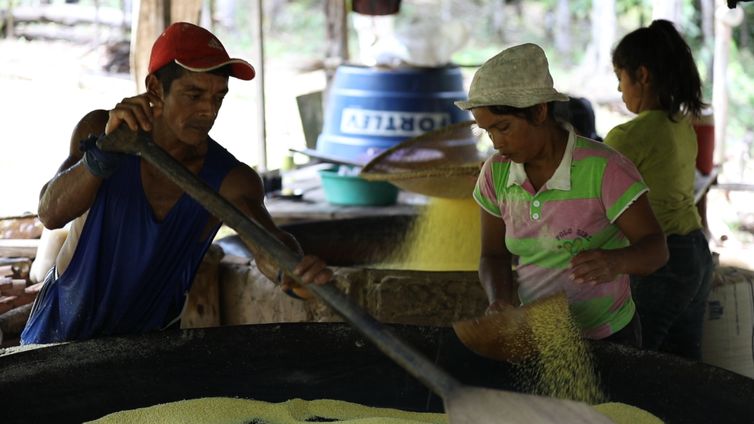 Amazônia Legal mostra a produção da farinha de Uarini