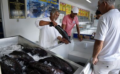 Brasília -  A tradição de comer peixe na sexta-feira Santa leva consumidores aos mercados de peixe na capital. Na foto, a peixaria do Ceasa na capital (José Cruz/Agência Brasil)
