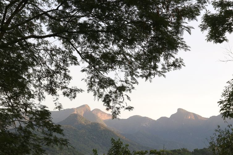 Cachoeiras de Macacu (RJ), 28/03/2023 - Vista de parte do Parque Estadual dos Três Picos a partir da Reserva Ecológica de Guapiaçu (REGUA), Cachoeiras de Macacu, Região Serrana do Rio de Janeiro. Foto: Tânia Rêgo/Agência Brasil