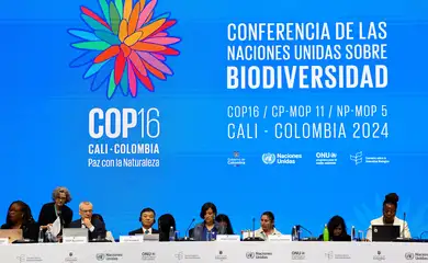 Plenária de abertura da 16ª Cúpula das Nações Unidas sobre Biodiversidade (COP16), em Yumbo, Colômbia
21/10/2024
REUTERS/Luisa Gonzalez