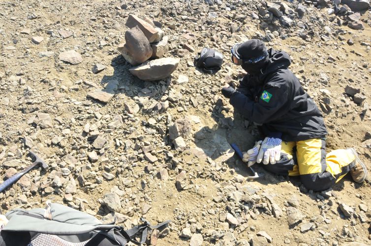 Pesquisadores do Museu de Paleontologia Plácido Cidade Nuvens/URCA, do Museu Nacional/UFRJ, da Universidade do Contestado e da Universidade Federal do Espírito Santo apresentaram hoje, dia 13 de agosto, um novo fóssil de lagostim encontrado na