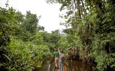 Floresta perto de Mbandaka, no Congo
 2/4/2019   REUTERS/Thomas Nicolon