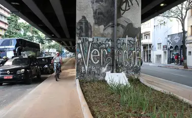 São Paulo (SP), 21/07/2025 - Jardins de chuva sob o elevado Presidente João Goulart, popularmente conhecido como Minhocão, para melhorar o escoamento de alagamentos no centro da capital. Foto: Rovena Rosa/Agência Brasil
