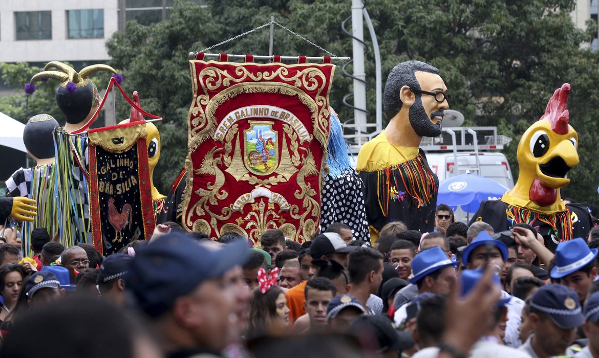 Brasília -  Bloco de carnaval de rua, Galinho de Brasília embala 10 mil foliões pelas ruas da capital do país (Wilson Dias/Agência Brasil).
