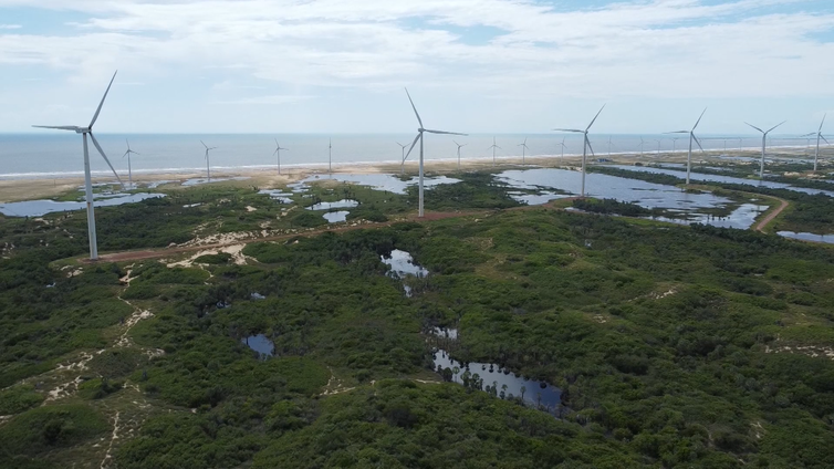 Parque eólico no Piauí, quarto maior produtor de energia eólica do país