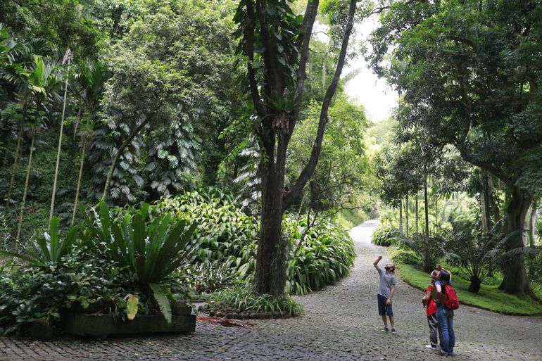 O Sítio Roberto Burle Marx, em Barra de Guaratiba, na zona oeste do Rio de Janeiro, se prepara para a nova fase da candidatura do local a Patrimônio Mundial pela Unesco.
