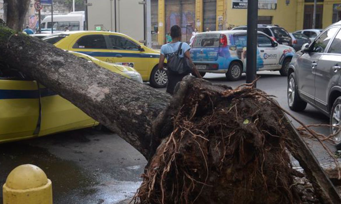 Rio de Janeiro - Árvore cai sobre carro, no centro, após forte temporal que atingiu a capital fluminense na madrugada (Tomaz Silva/Agência Brasil)