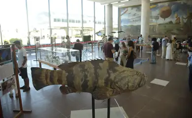 Museu nacional apresenta a exposição 