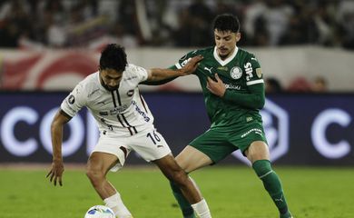 ldu, palmeiras, libertadores