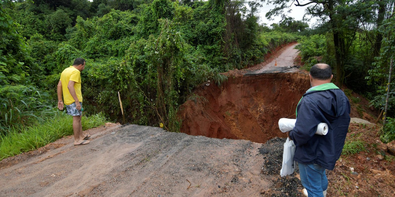 Chuvas provocam perdas de 119 mil hectares de lavouras de Minas Gerais