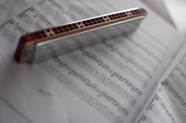 Segundo o dicionário Oxford Languagens, harmônica é um instrumento musical de lâminas tocado a partir do sopro