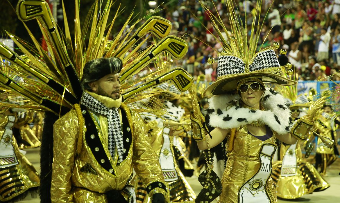 Rio de Janeiro - Desfile da Imperatriz, sexta escola na Sapucaí. (Foto: Tomaz Silva/Agência Brasil)