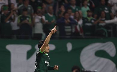 palmeiras, grêmio, brasileiro