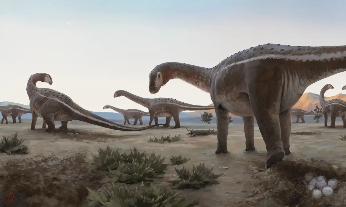 ovos de dinossauros de Uberaba
