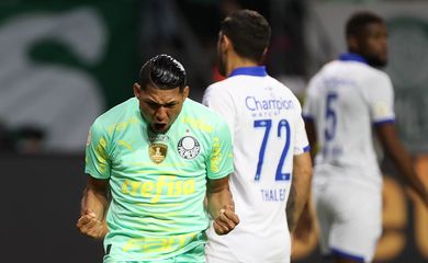 palmeiras, avai, brasileiro