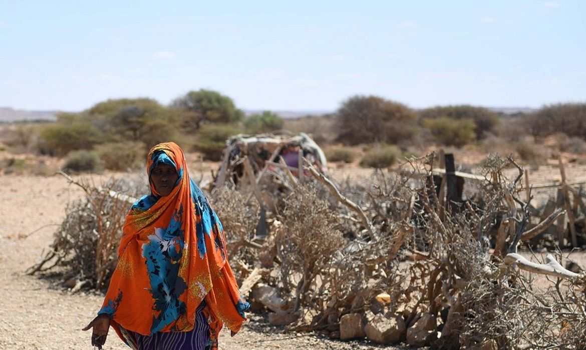 O agravamento das secas na África Ocidental é uma das grandes consequências das mudanças climáticas