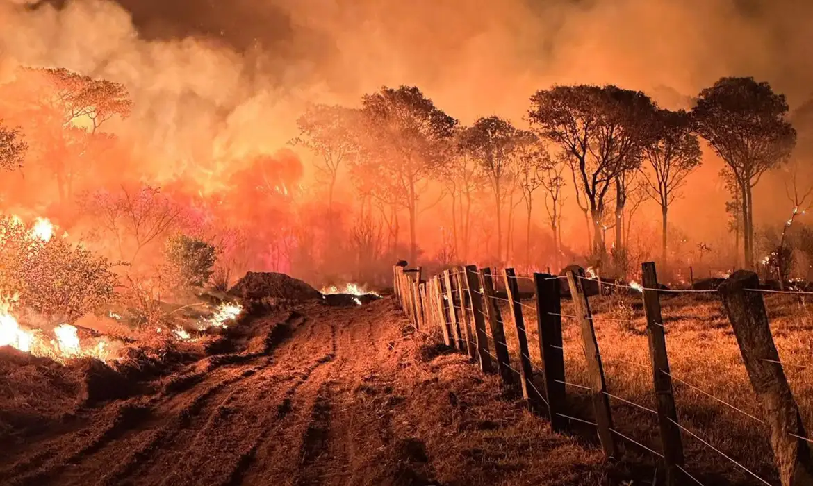 Fotos: CPA-CBMMS / Mairinco de Pauda Pantanal (MS) 15/11/2023 Governo de MS intensifica ações e combate aos incêndios no Pantanal. Fotos: CPA-CBMMS / Mairinco de Pauda, Semadesc