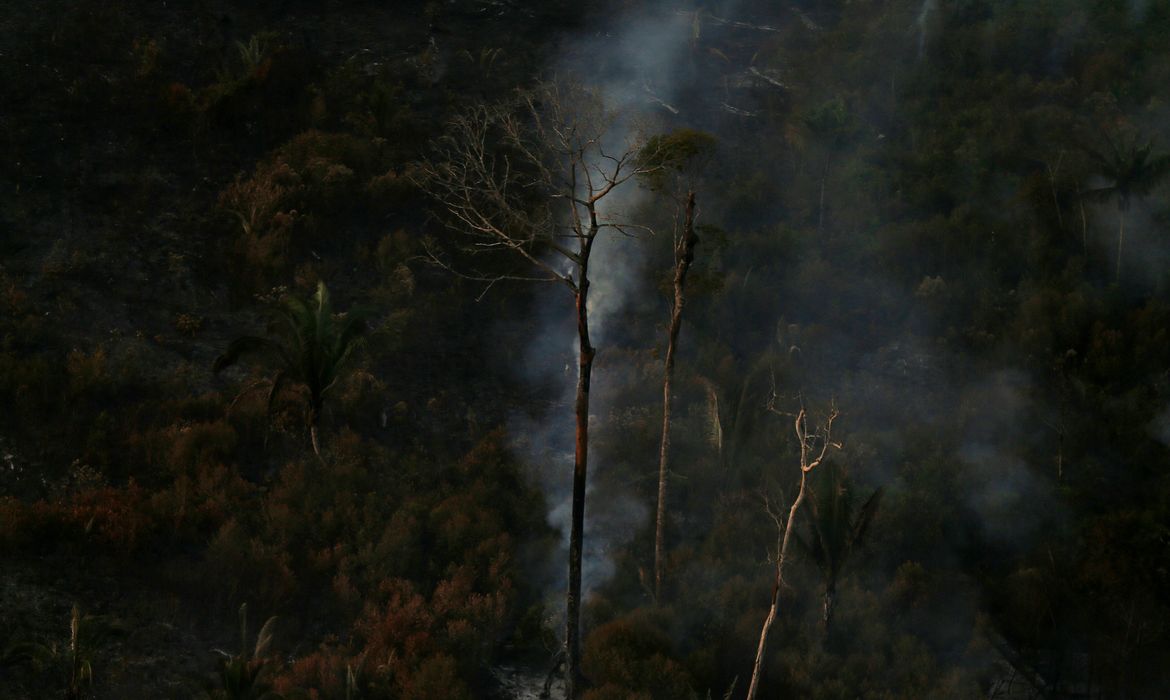 queimadas Amazônia